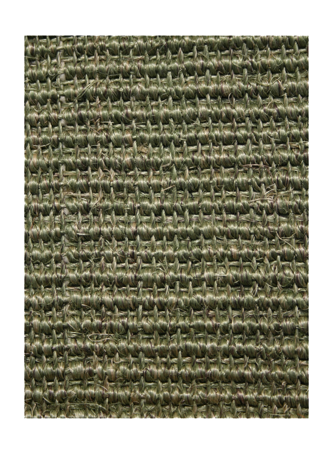 Tapis SISAL MANAUS CARE vert 165x235 Unamourdetapis