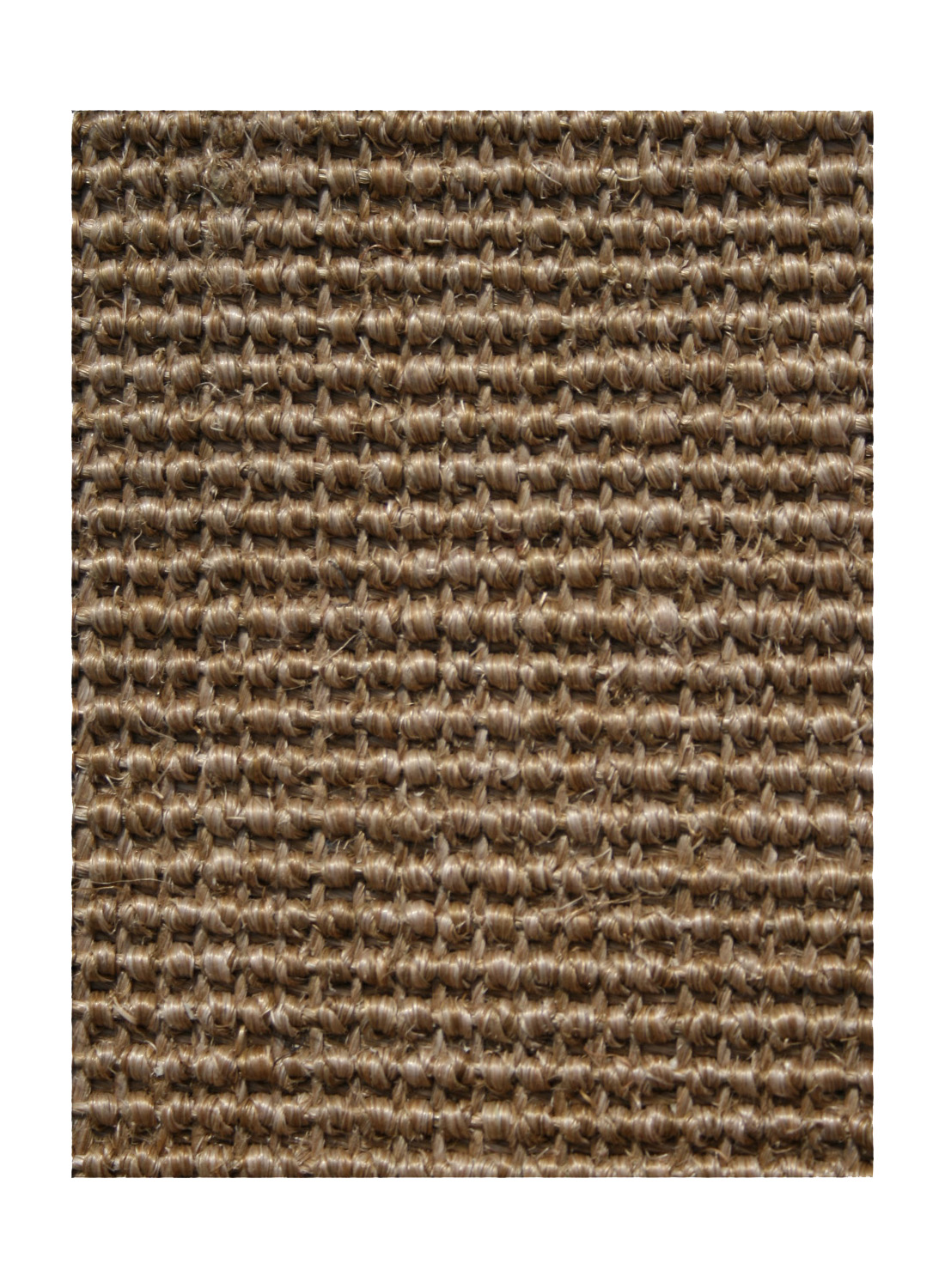Tapis SISAL SALVADOR beige 165x235 Unamourdetapis