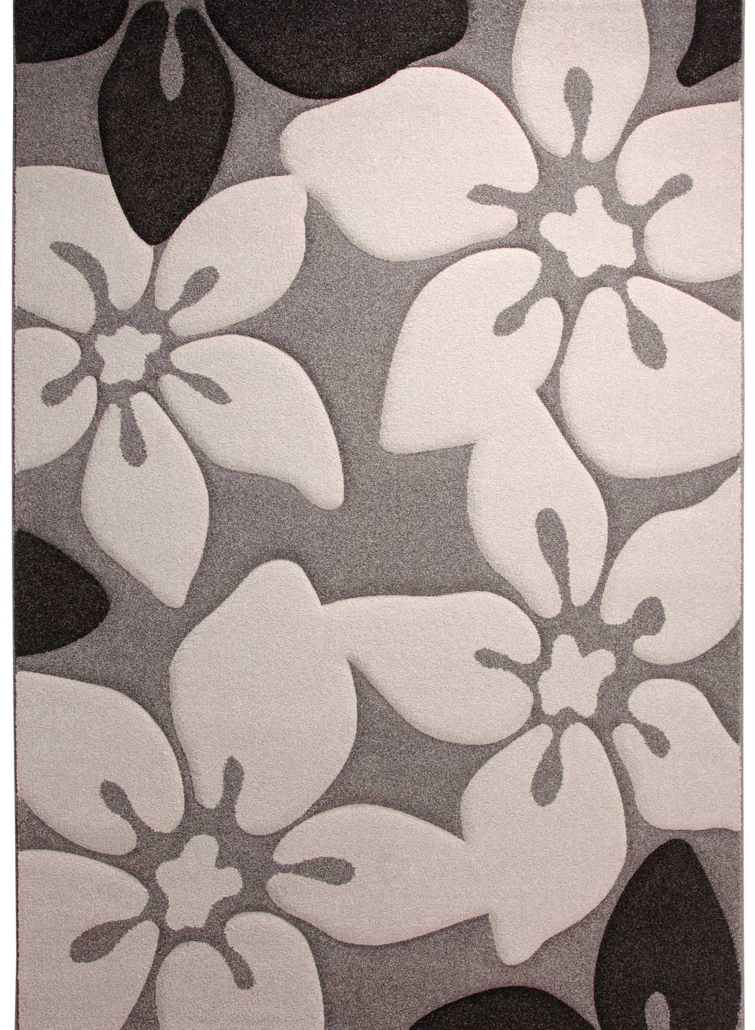 Tapis CAMPUS 1 beige 160x230 Esprit