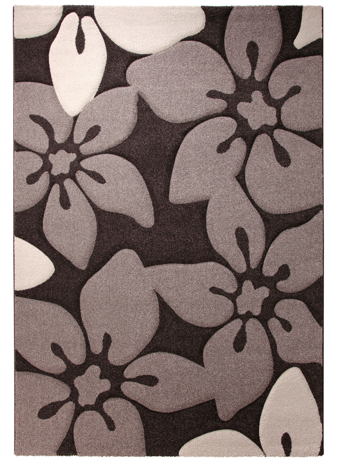 Tapis CAMPUS 1 marron 240x340 Esprit