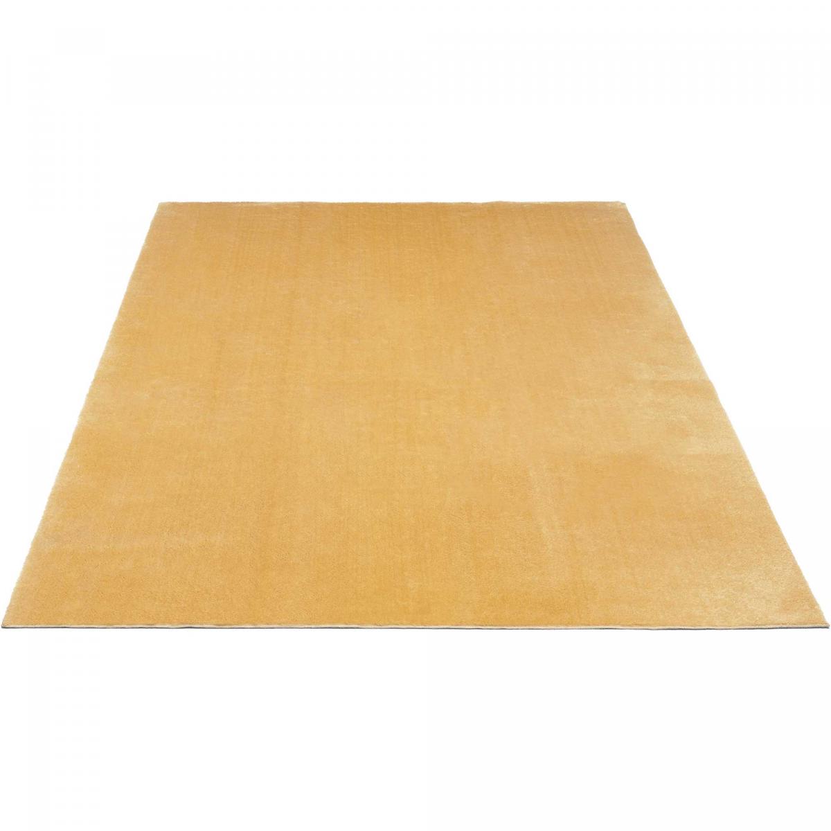 Tapis LYN10 LAVABLE uni, tapis shaggy à longs poils — vue 4