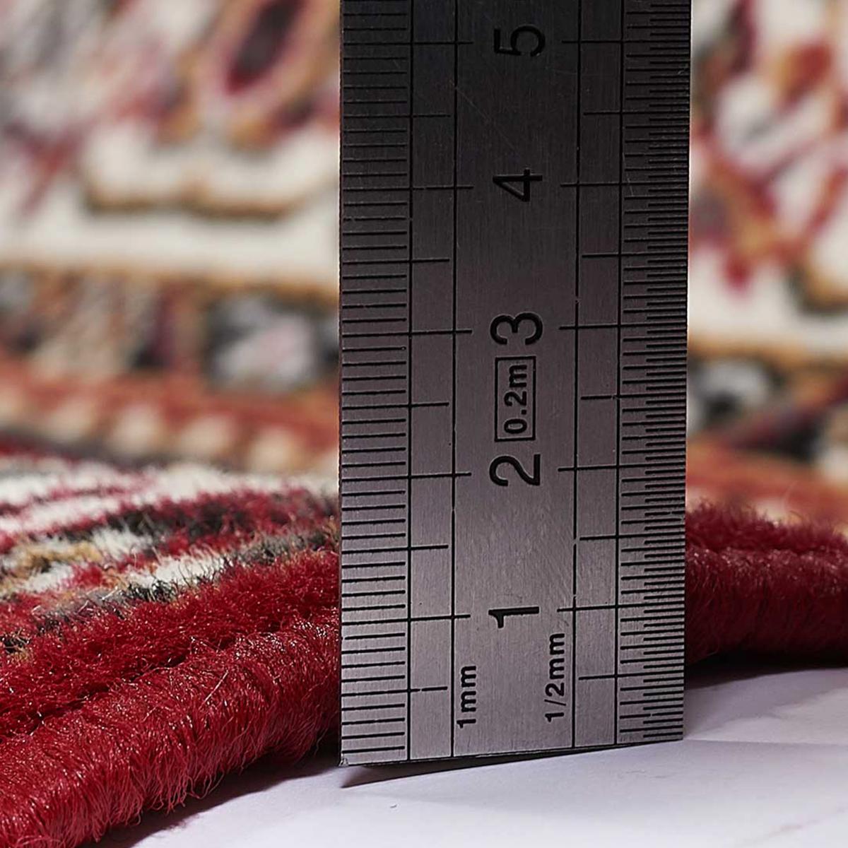 Tapis oriental tissé motif ancestral LYN1 NOMED — vue 5