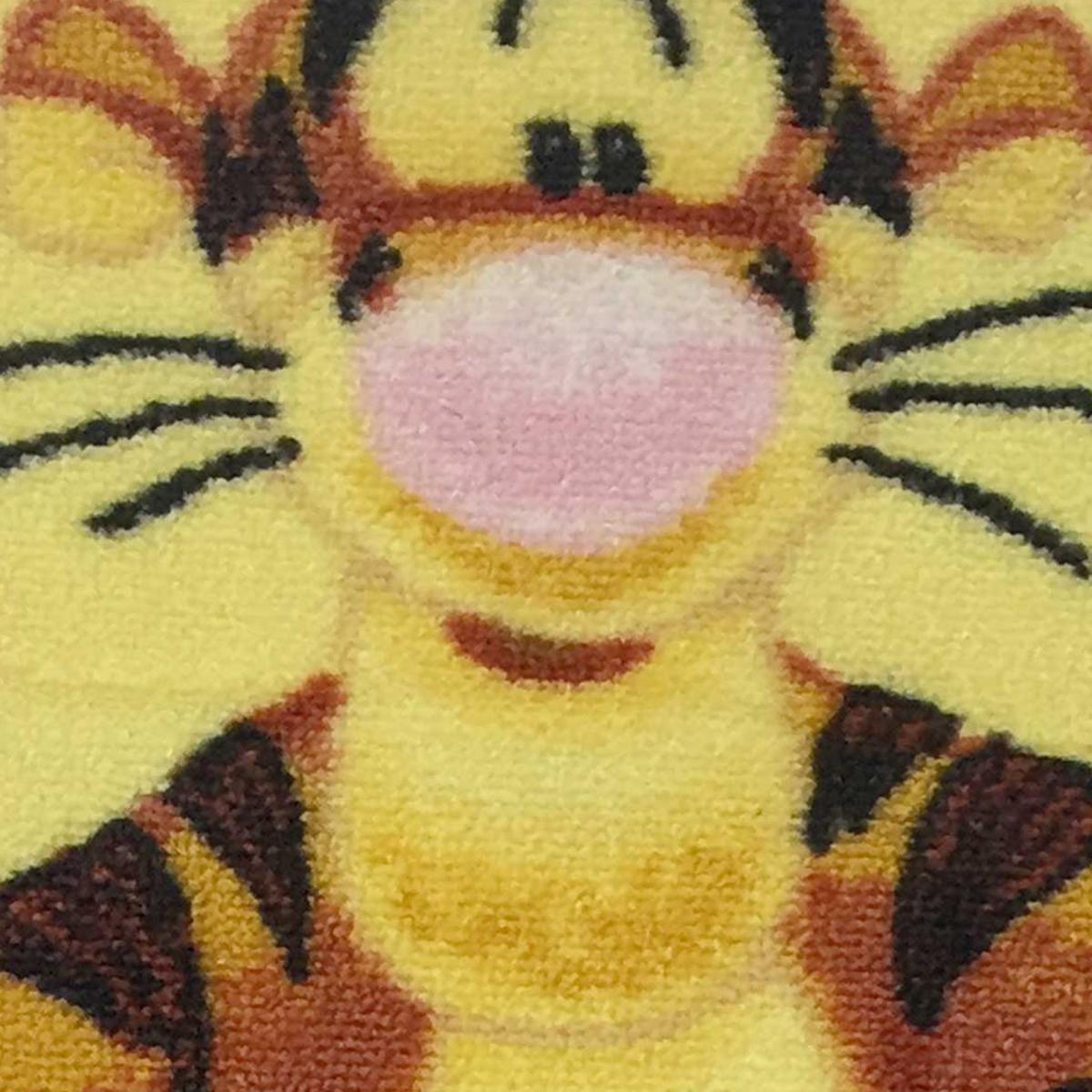 Tapis enfant Lavable 30° LYN48 TIGROU B — vue 5