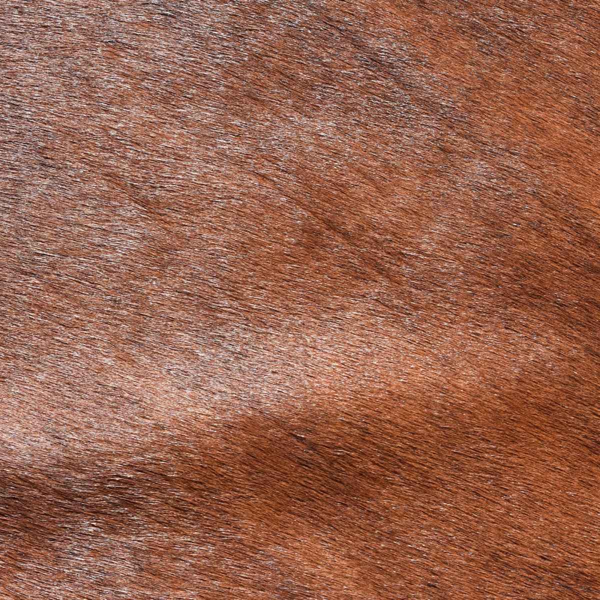 Tapis peau de vache kilm fait à la main — vue 4