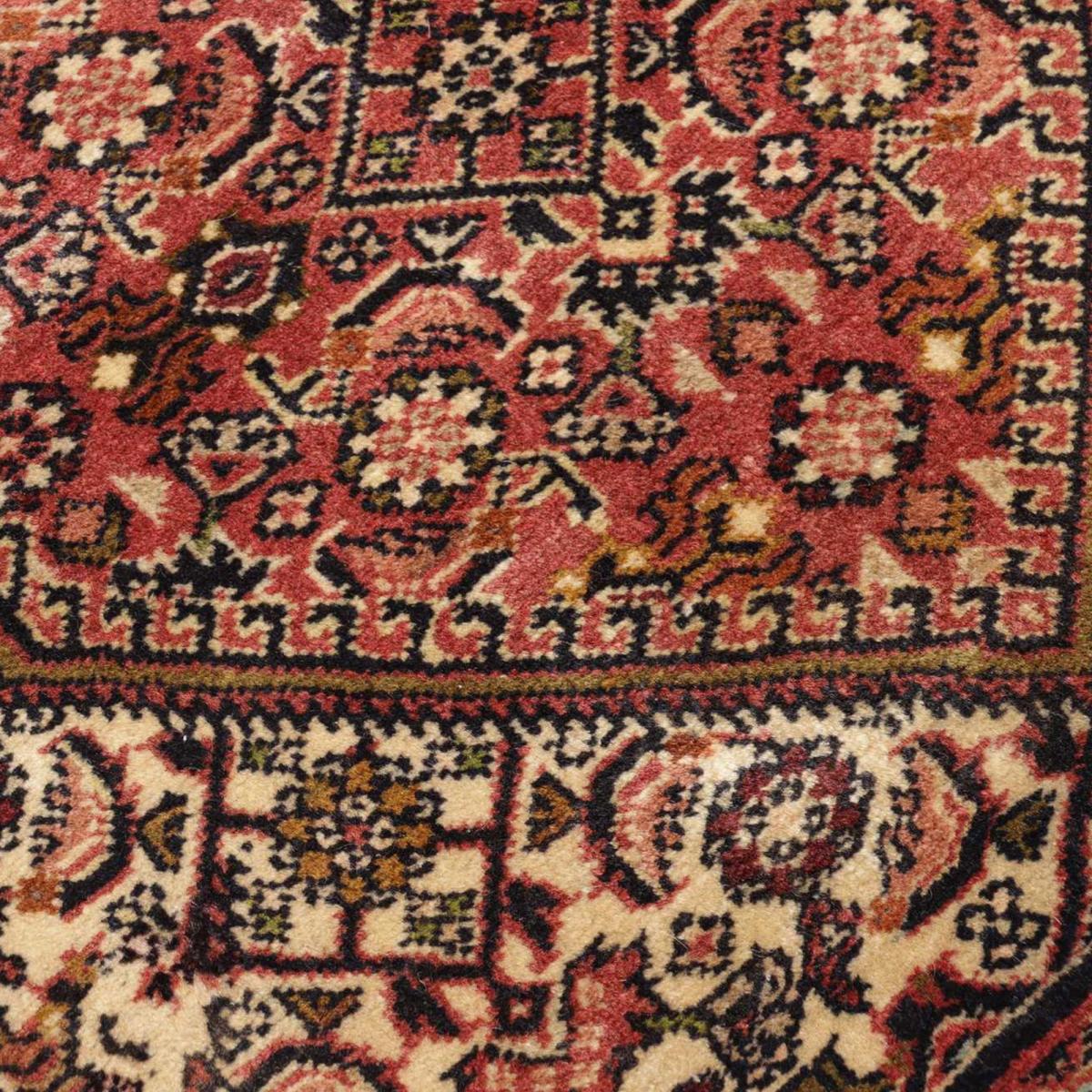 Tapis d'orient, motif oriental noué main, authentique BIDJAR 1 — vue 5