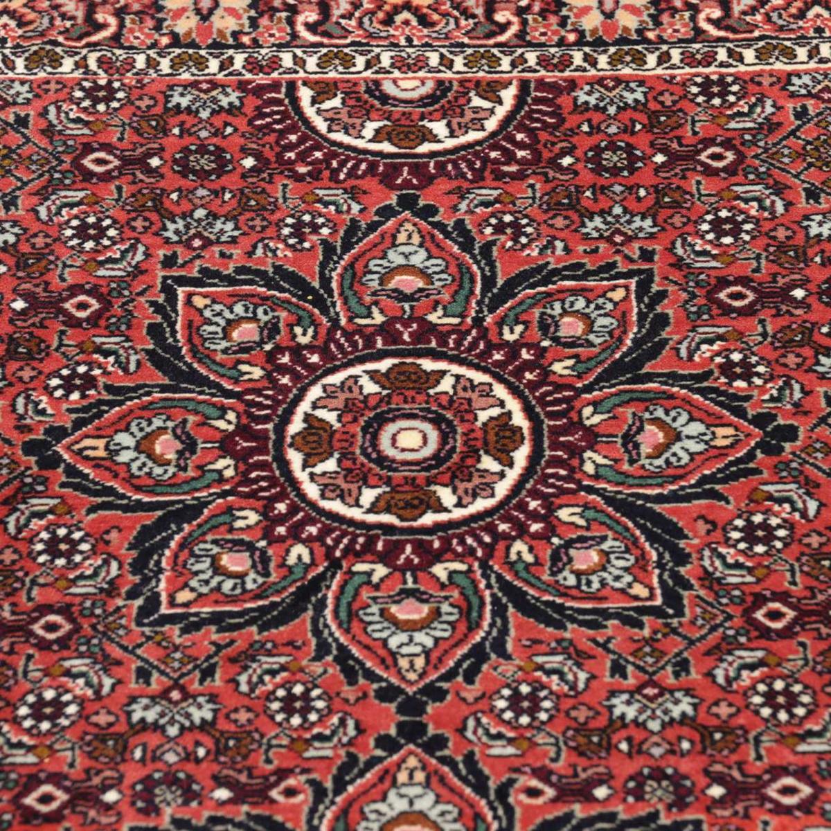 Tapis d'orient à motif traditionnel, noué main avec soin, BIDJAR 2 — vue 6