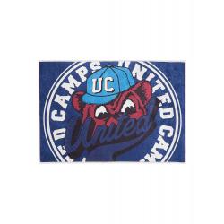 UC BEAR CAMPS
